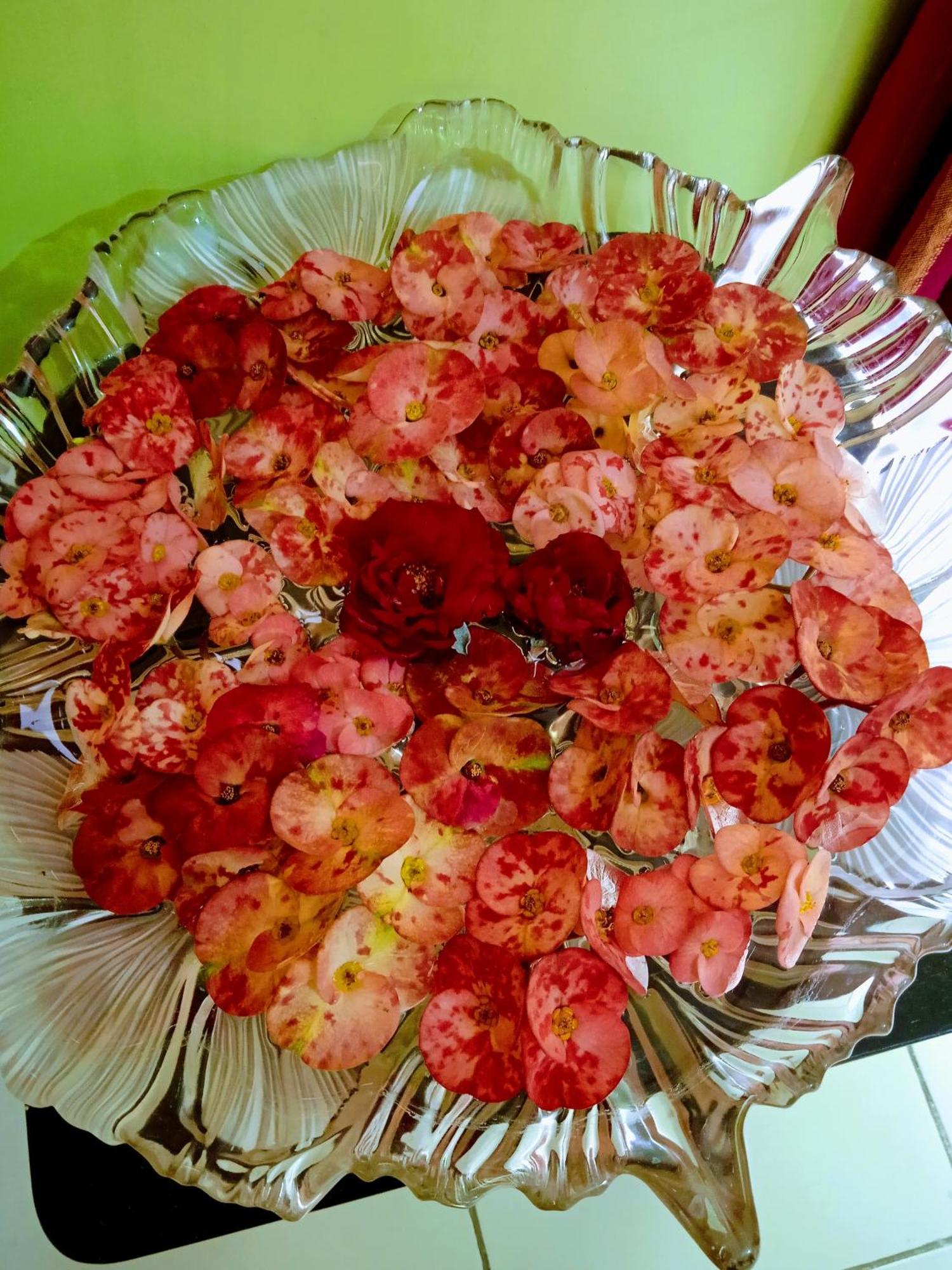 Bhoboghure Homestay Santiniketan ボルプル エクステリア 写真