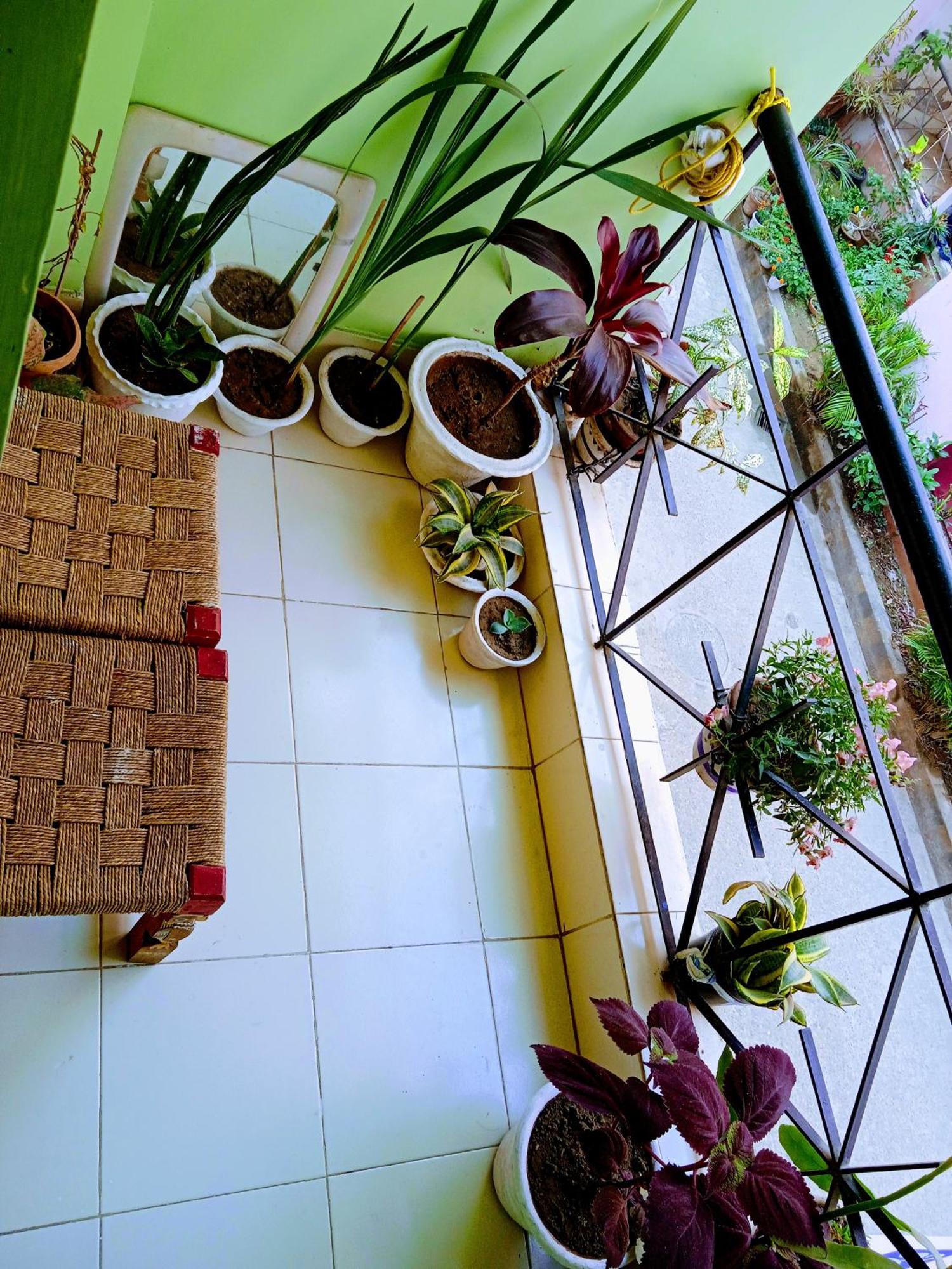 Bhoboghure Homestay Santiniketan ボルプル エクステリア 写真